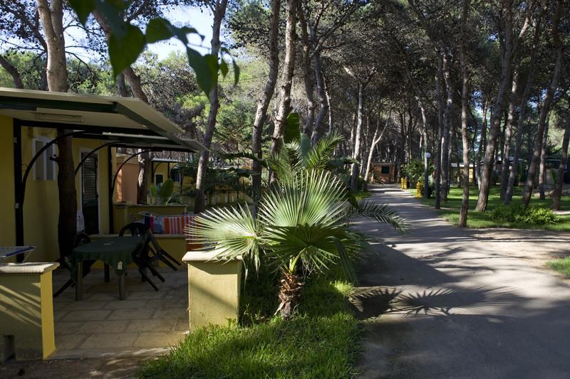 Hotel Camping La Vecchia Torre Gallipoli Exteriér fotografie